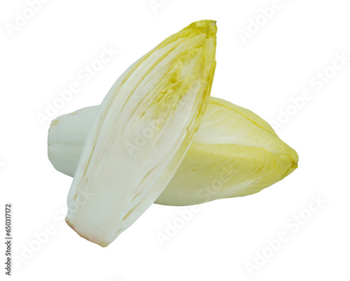 Fresh endive head cut out isolated on transparent background png.