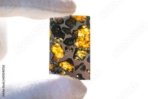 Meteorite, pallasite, meteor slice, space 