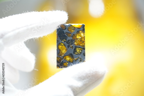 Meteorite, pallasite, meteor slice, space 