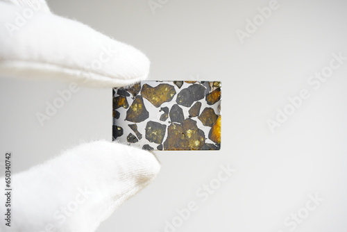 Meteorite, pallasite, meteor slice, space 