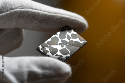 Meteorite, pallasite, meteor slice, space 