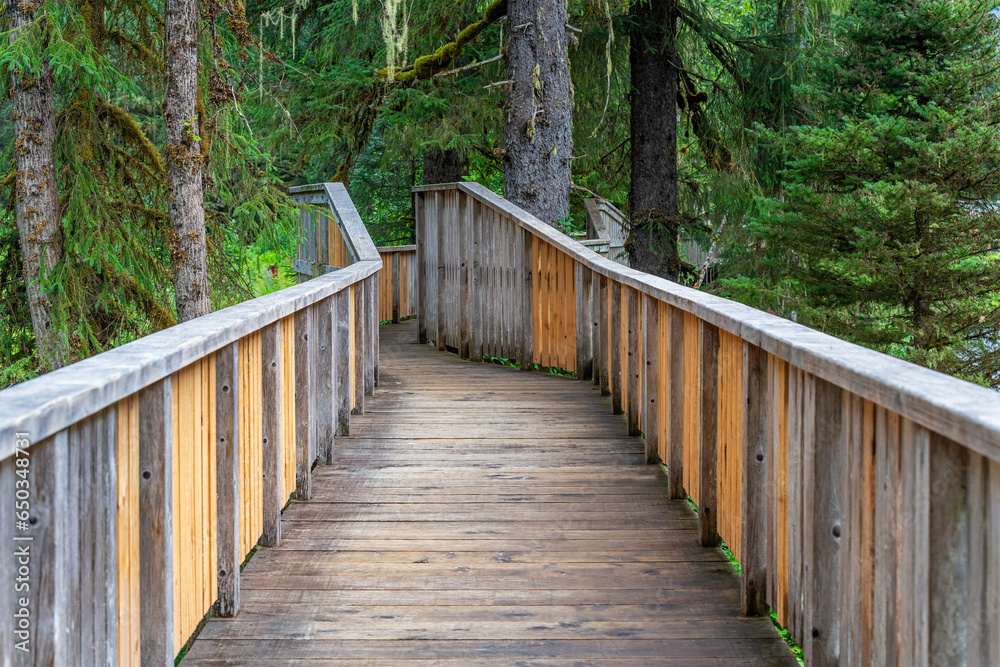 Wooden elevated walkway for black and grizzly bear observation site, Fish Creek, Tongass national forest, Alaska, USA. Wooden elevated walkway for black and grizzly bear observation site, Fish Creek, Tongass national forest, Alaska, USA.