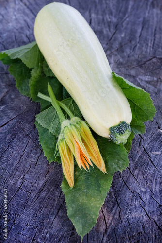 Valokuva One zucchini, flowers and leaves are depicted on a dark wooden background