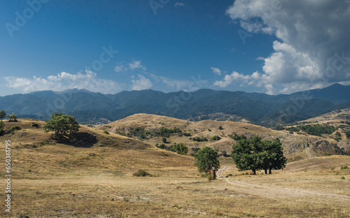 Vibrant colors and sunny landscape, Bulgaria.