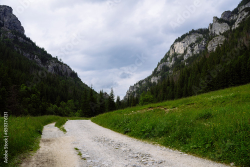 Fototapeta Naklejka Na Ścianę i Meble -  Dolina Kościeliska szlak górski, szczyty gór, drzewa i góry 