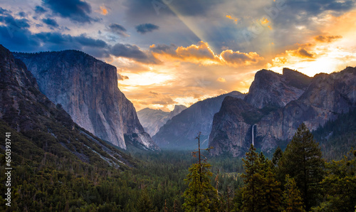 Fototapeta Naklejka Na Ścianę i Meble -  The Light Arrives on Yosemite Valley, Yosemite National Park, California