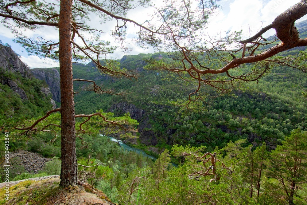 Mountainous lush green landscape with lake in the background Mountainous lush green landscape with lake in the background