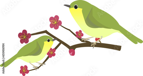 鶯と梅の花のイラスト