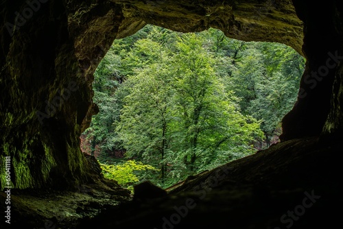 a view from inside a cave looking out on a river and forest