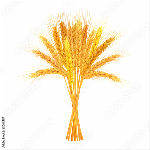 Bunch of golden wheat ears isolated on white. Vector illustration.