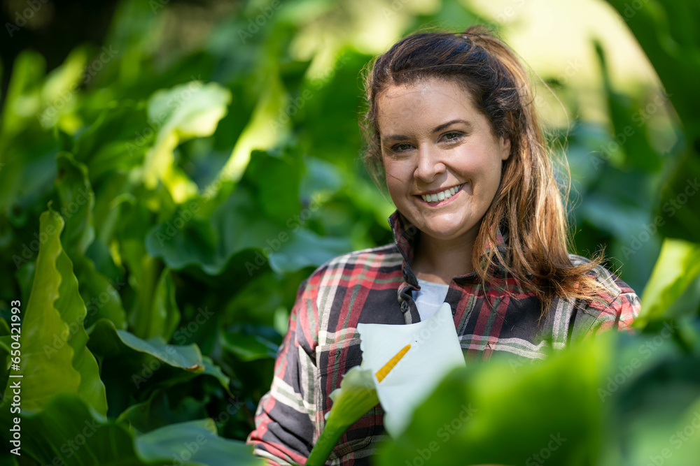regenerative organic female farmer, taking soil samples and looking at plant growth in a farm. practicing sustainable agriculture in australia regenerative organic female farmer, taking soil samples and looking at plant growth in a farm. practicing sustainable agriculture in australia