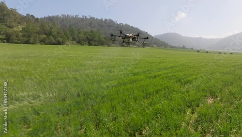 Drone fumigating barley 60fps