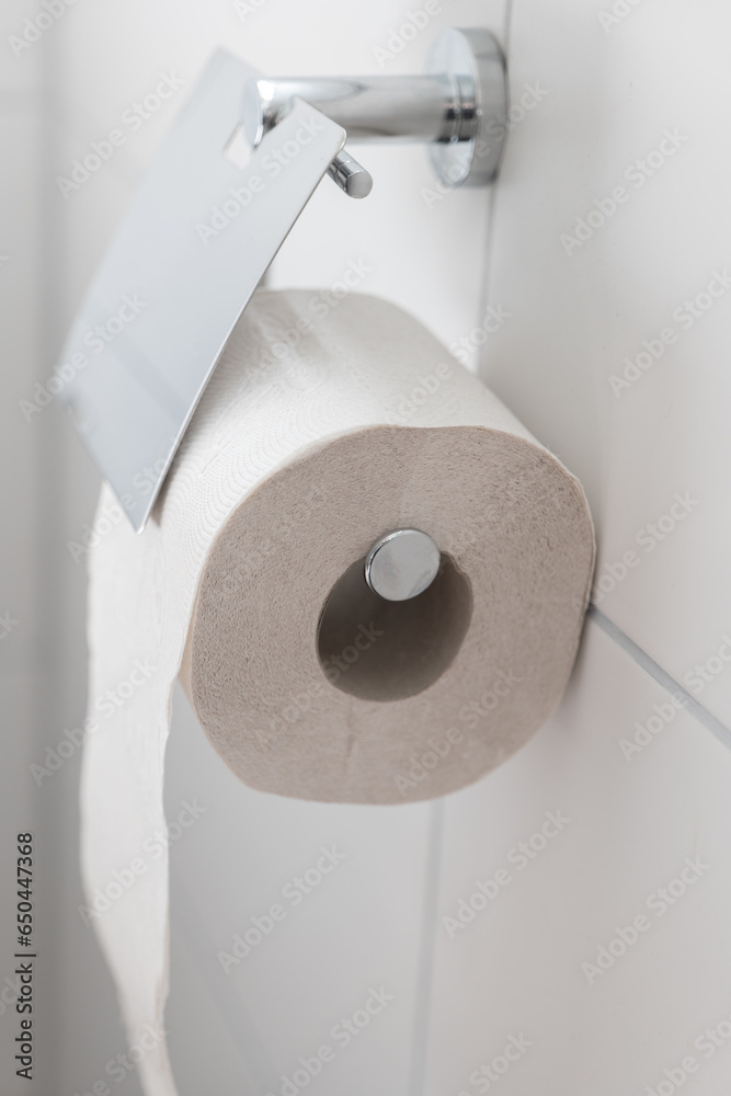 Toilet paper .Toilettenhygiene. bathroom toiletries.Hygiene and