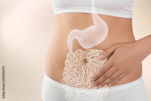Woman with healthy digestive system on light background, closeup. Illustration of gastrointestinal tract photo