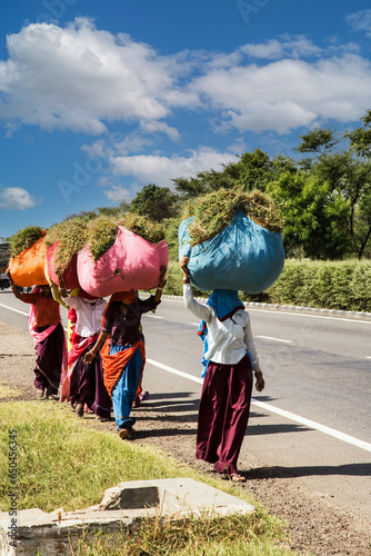 Women dressed in saris carrying heavy loads of grasses, India