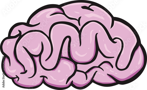 illustration of brain human
