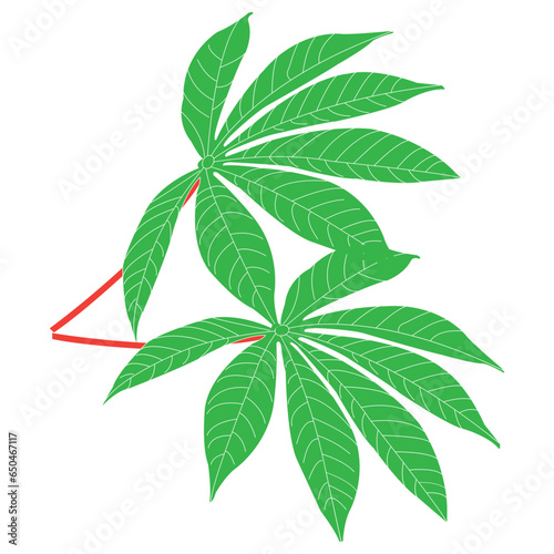 Cassava leaf icon