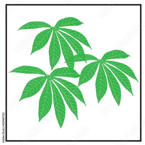 Cassava leaf icon