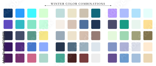 Winter color palette. Trend color palette guide template. An example of a color palette. Forecast of the future color trend. Match color combinations. Vector graphics. Eps 10.