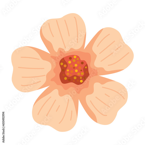 flower isolated design