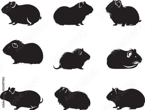 Abyssinian guinea pig vector silhouette 