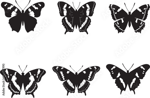 Admiral Butterfly vector silhouette