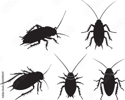 American cockroach vector silhouette