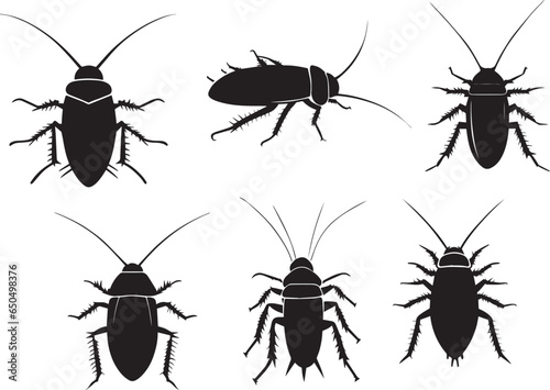 American cockroach vector silhouette