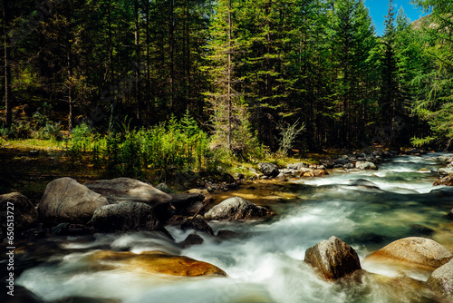 Forest river landscape in Altai mountains, Siberia. Long exposure on a rapid stream flowing through rocks trees.
