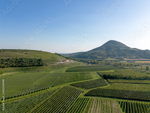 Aerial view of Italian wine country landscape with grapevines of vineyards by rolling hills in the countryside by Vo in Colli Euganei in Padova