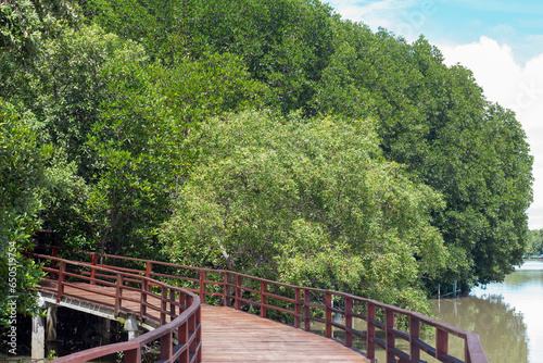 Wooden footpaths in the mangrove forest at Stupa in the middle of river in Rayong and blue sky background.