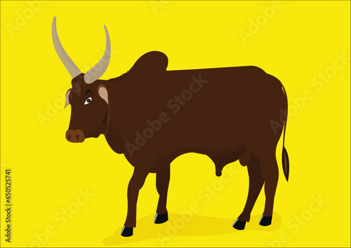 Vector illustration of side view of Indian ox with long horns on yellow background.
