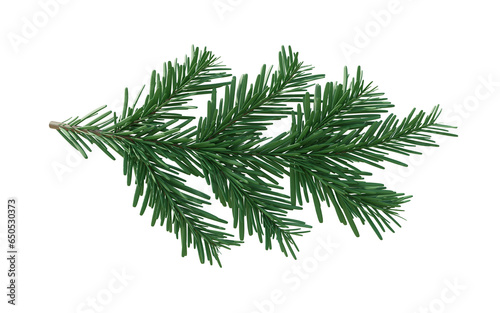 Christmas spruce  green fir twig isolated on white transparent background  PNG. Xmas pine tree branch 