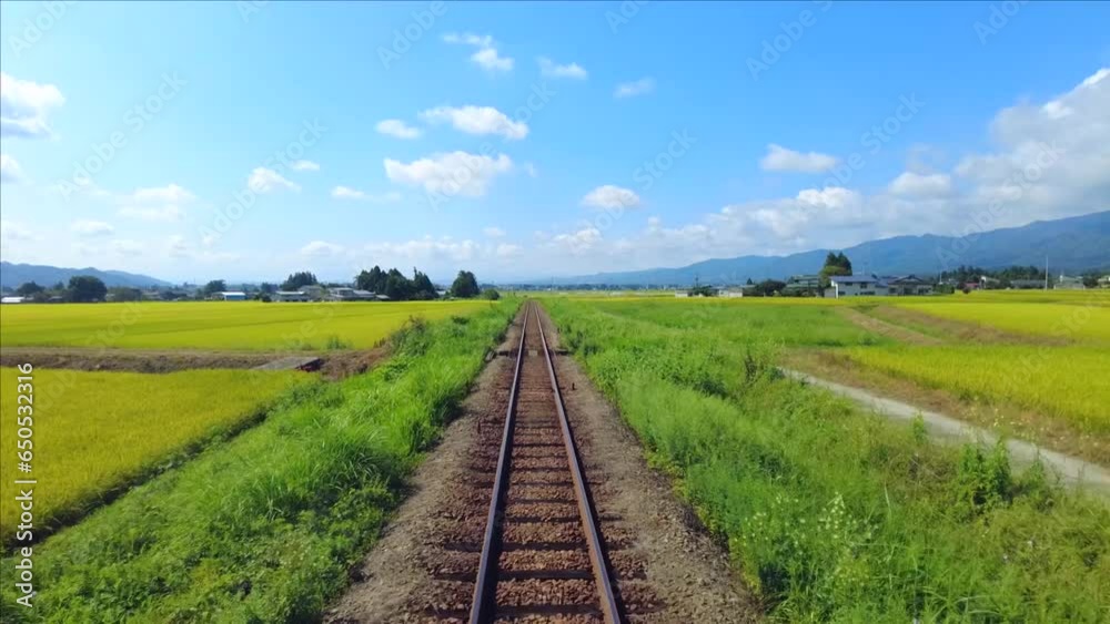 収穫前の水田の中を走る列車からの展望 収穫前の水田の中を走る列車からの展望