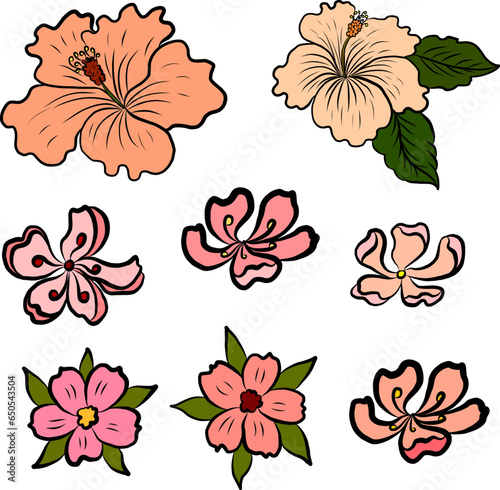 Black and white Hibiscus vector set isolate on white background.Cherry blossom illustration for doodle art on background.