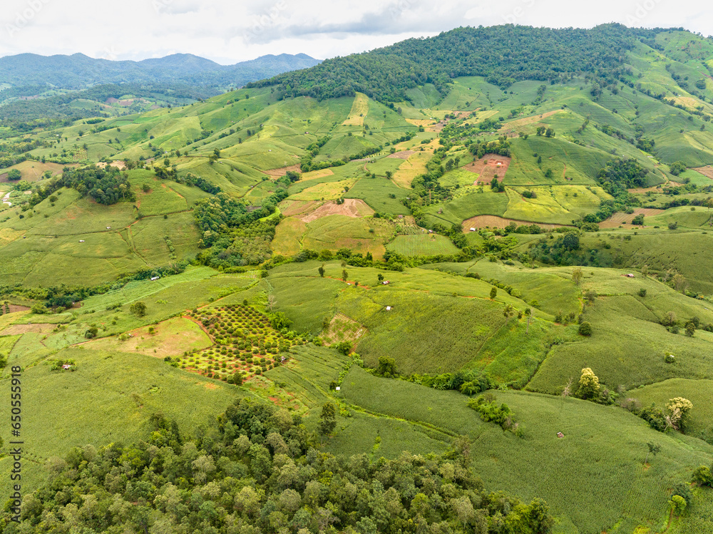 The biggest cause of forest loss is agricultural deforestation ,environmental damage in Southeast Asia , global warming and environment. The biggest cause of forest loss is agricultural deforestation ,environmental damage in Southeast Asia , global warming and environment.