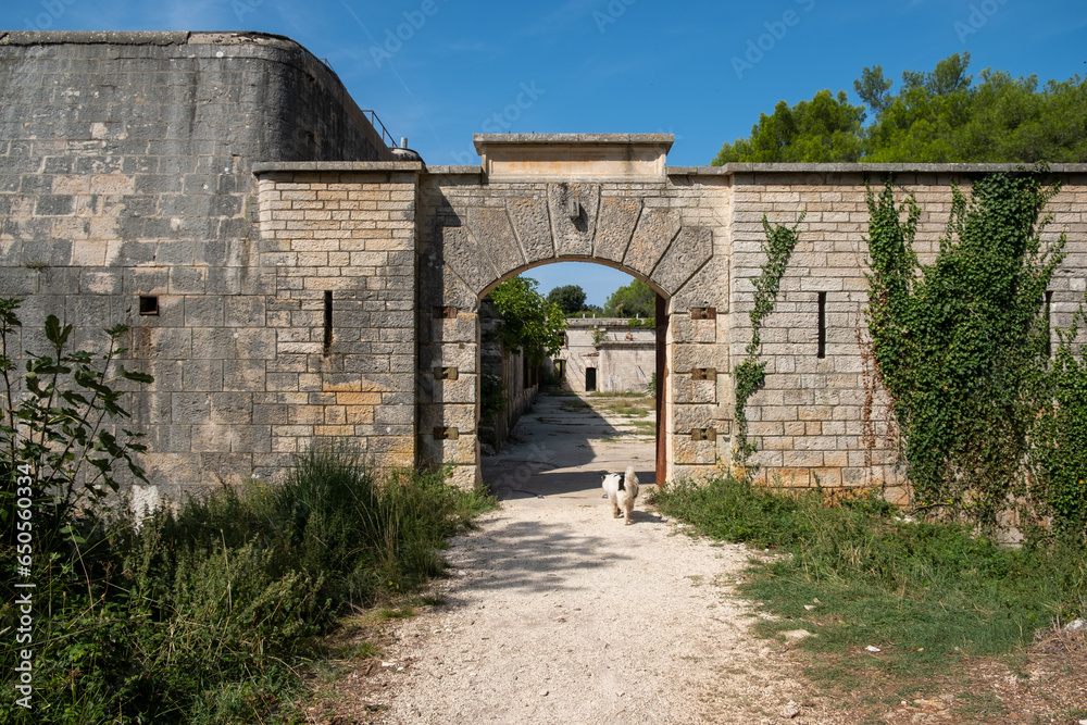 Fototapeta premium Abandoned Fort San Benedetto buiilt bay Austro-Hungarian navy 1903 . Barbariga Defensive Group . Istria . Croatia . Europe