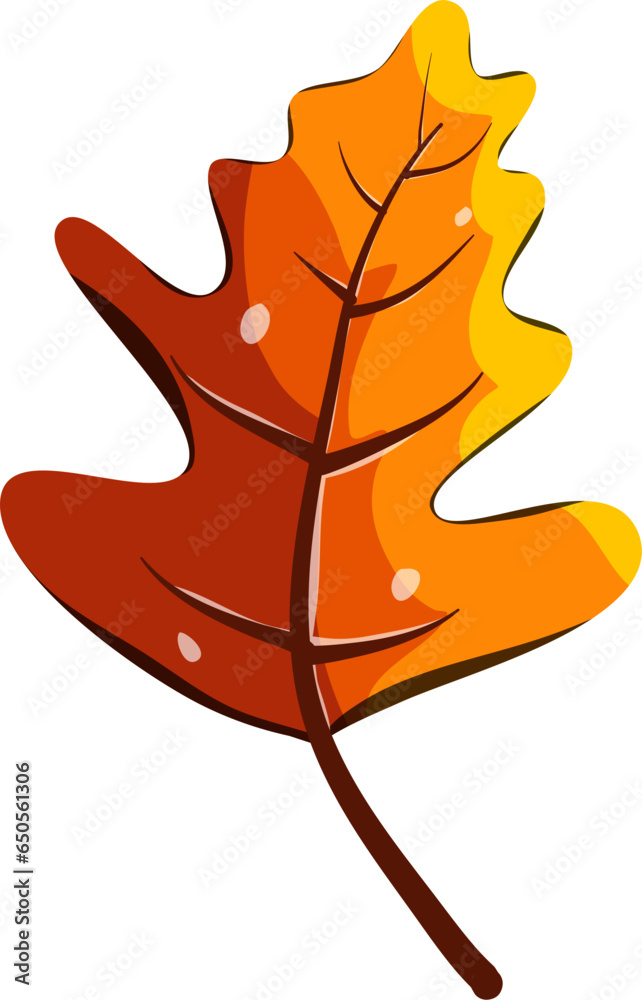 Obraz premium Autumn Leaves Illustration