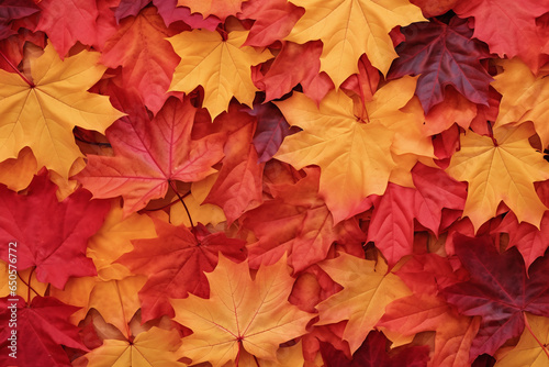 Vibrant red and orange Autumn leaves form a fall backdrop, AI generated