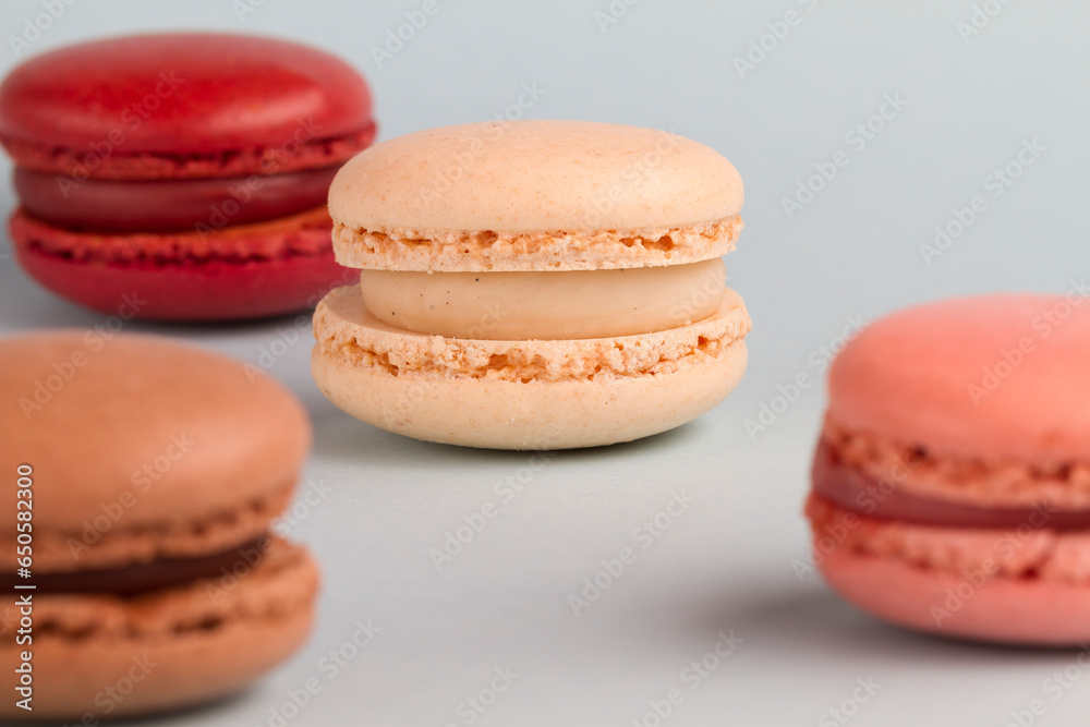 Close up macro shot of a macaron, french snack, on a colourful background.