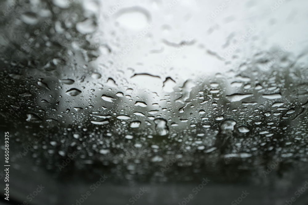 Obraz premium goutte de pluie