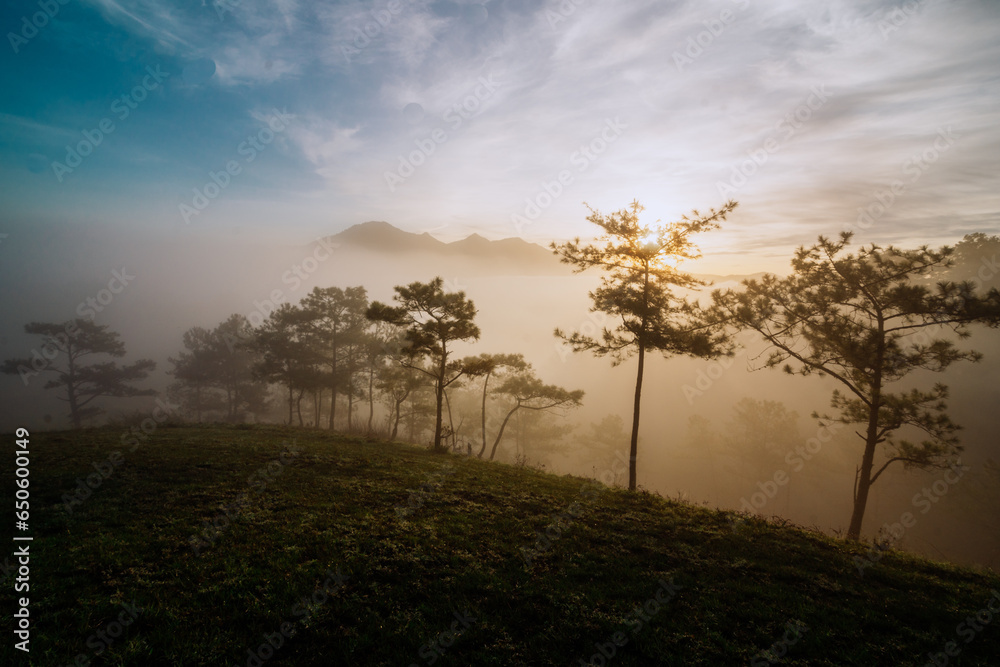 Fototapeta premium sunrise in the fog
