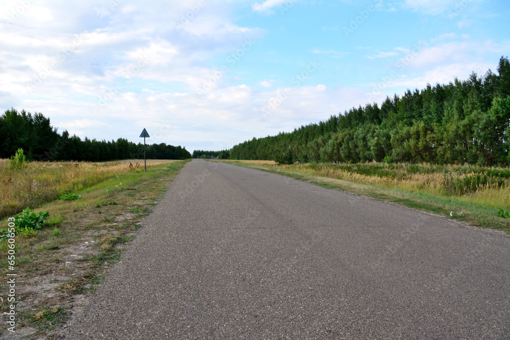 concrete single lane road going alone green forest to horizon with blue sky copy space 
