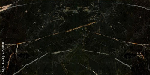 Abstract black marble texture with golden luxury pattern illustration.
