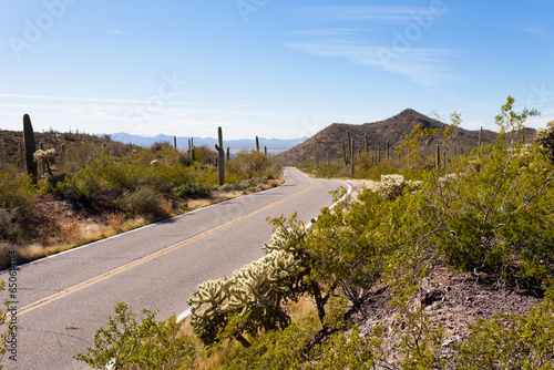 Empty paved road in Saguaro NP near Tucson AZ US photo