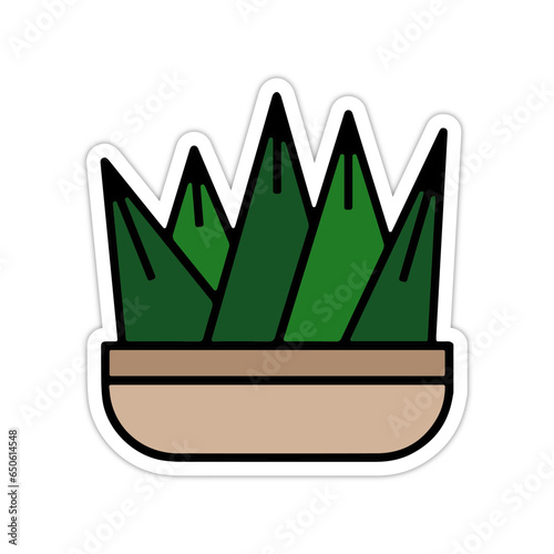 picto logo icones et symbole cactus succulente palnte arbre piquant mexique pot decoration gras couleur vert relief