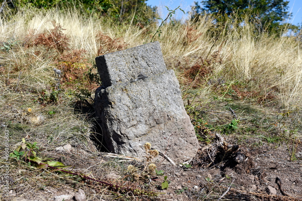 Medieval monument found deep in forest. Medieval monument found deep in forest.