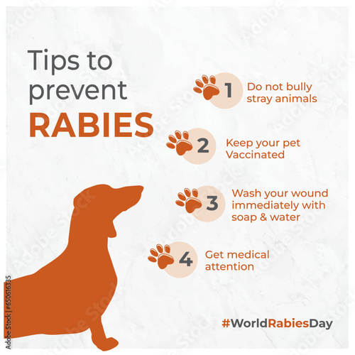 World Rabies Day, Medical Awareness
Social Media Template. Dogs, Pets, Veterinary Clinic