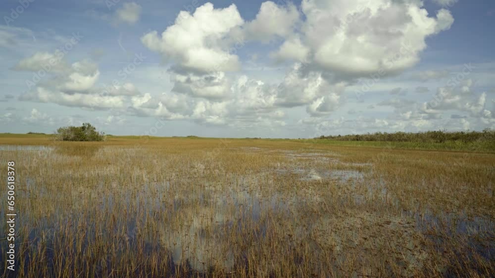 Tilt down shot of the stunning Florida everglades near Miami in the middle on an airboat with the calm swamp water reflecting the sky and creating a mirage surrounded by tall grass on a sunny day Tilt down shot of the stunning Florida everglades near Miami in the middle on an airboat with the calm swamp water reflecting the sky and creating a mirage surrounded by tall grass on a sunny day