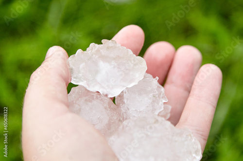 Hail in hand after hailstorm. Large hails closeup